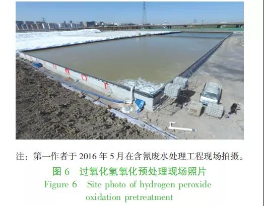 美女经济市场需求与投资前景分析报告